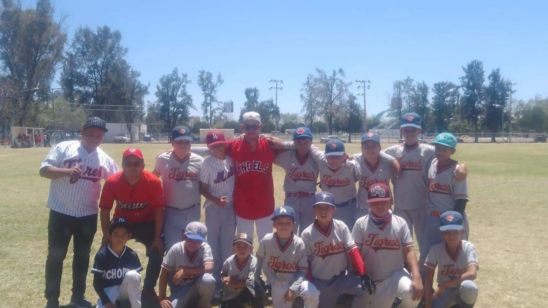 Cortesia Liga de Beisbol Infantil